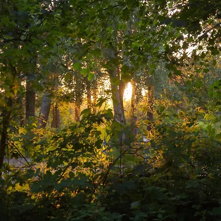 Wohnen Am Suedstrand - 2 1 * Wyk auf Föhr