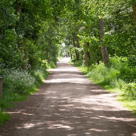 Daire Wohnen Am Suedstrand - 2 1 Wyk auf Föhr