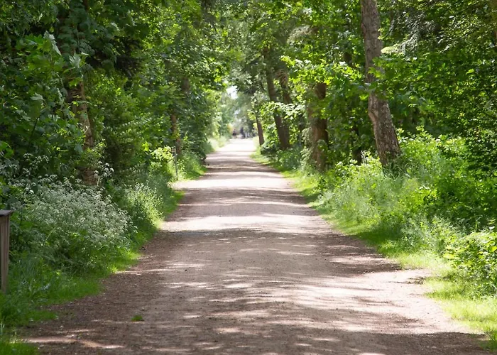 Apartament Wohnen Am Suedstrand - 2 1 Wyk auf Föhr